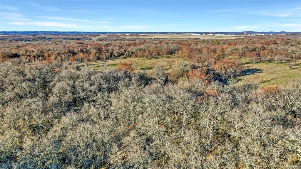 Tbd 87 Acres Reynolds Lane Property Photo 12