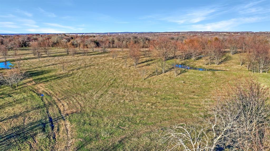 Tbd 87 Acres Reynolds Lane Property Photo 13