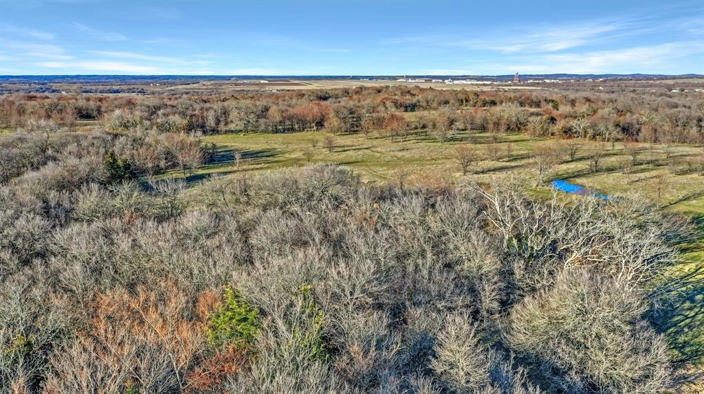 Tbd 87 Acres Reynolds Lane Property Photo 14