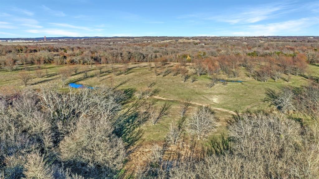 Tbd 87 Acres Reynolds Lane Property Photo 15