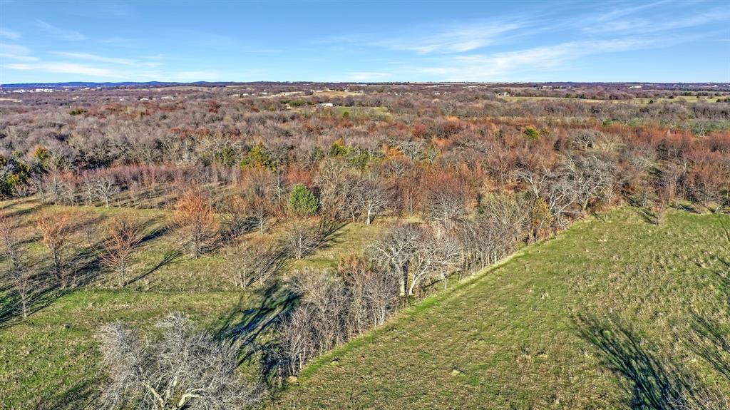 Tbd 87 Acres Reynolds Lane Property Photo 17