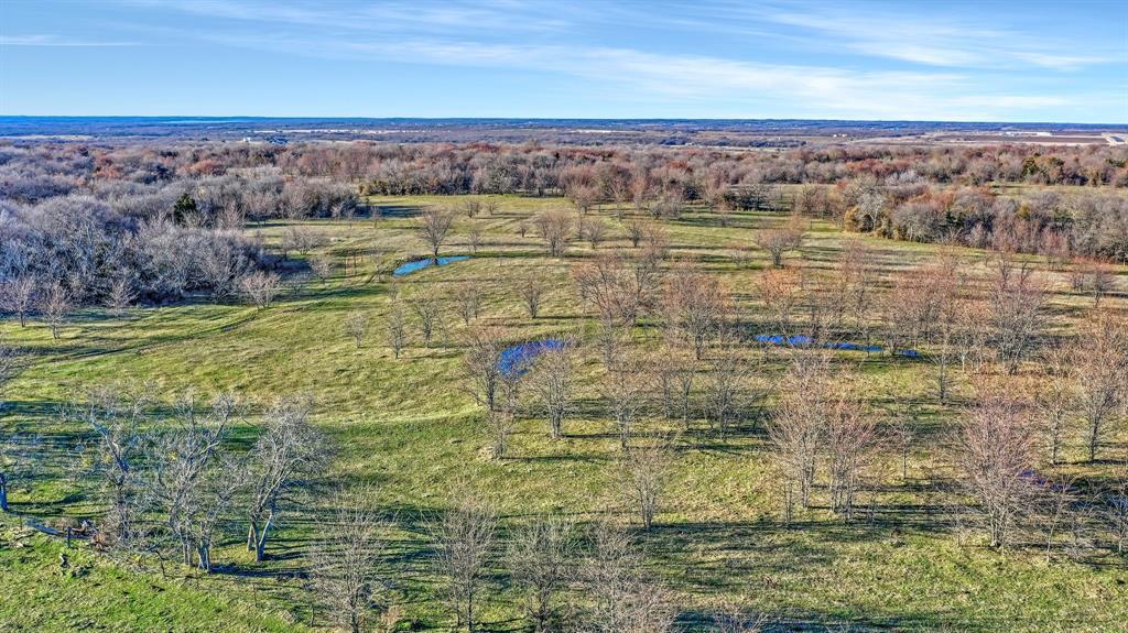 Tbd 87 Acres Reynolds Lane Property Photo 18