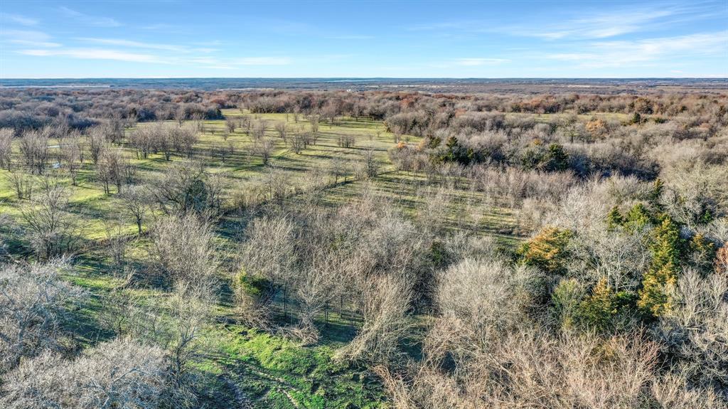 Tbd 87 Acres Reynolds Lane Property Photo 19