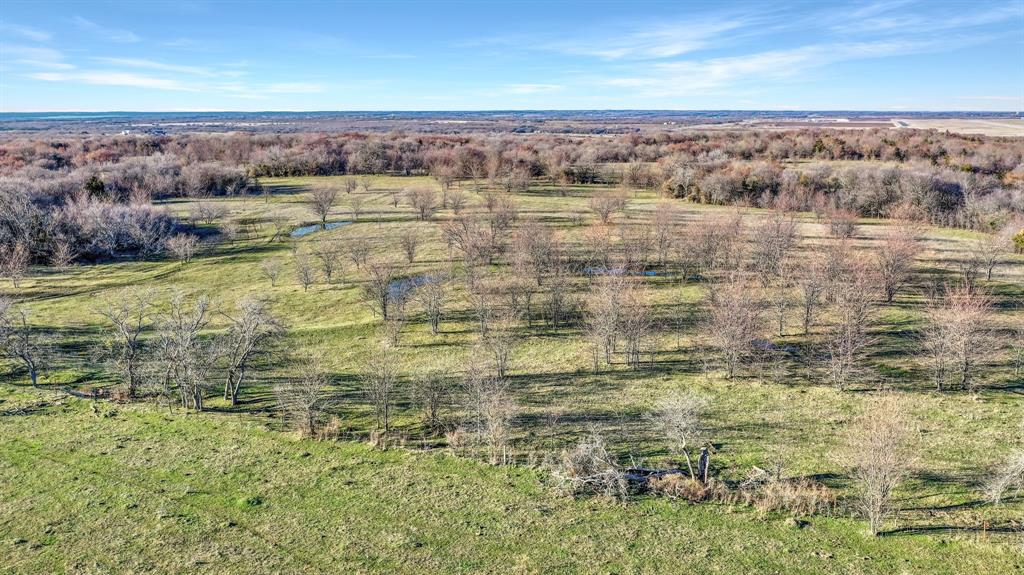 Tbd 87 Acres Reynolds Lane Property Photo 20
