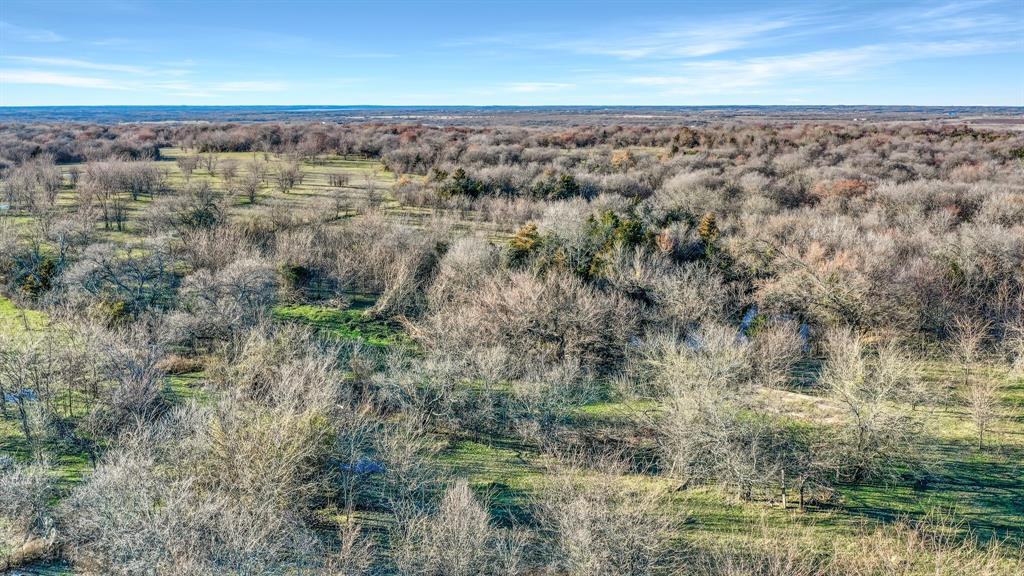 Tbd 87 Acres Reynolds Lane Property Photo 21