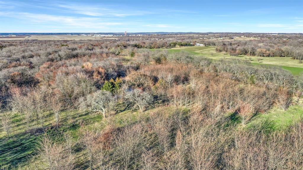 Tbd 87 Acres Reynolds Lane Property Photo 22