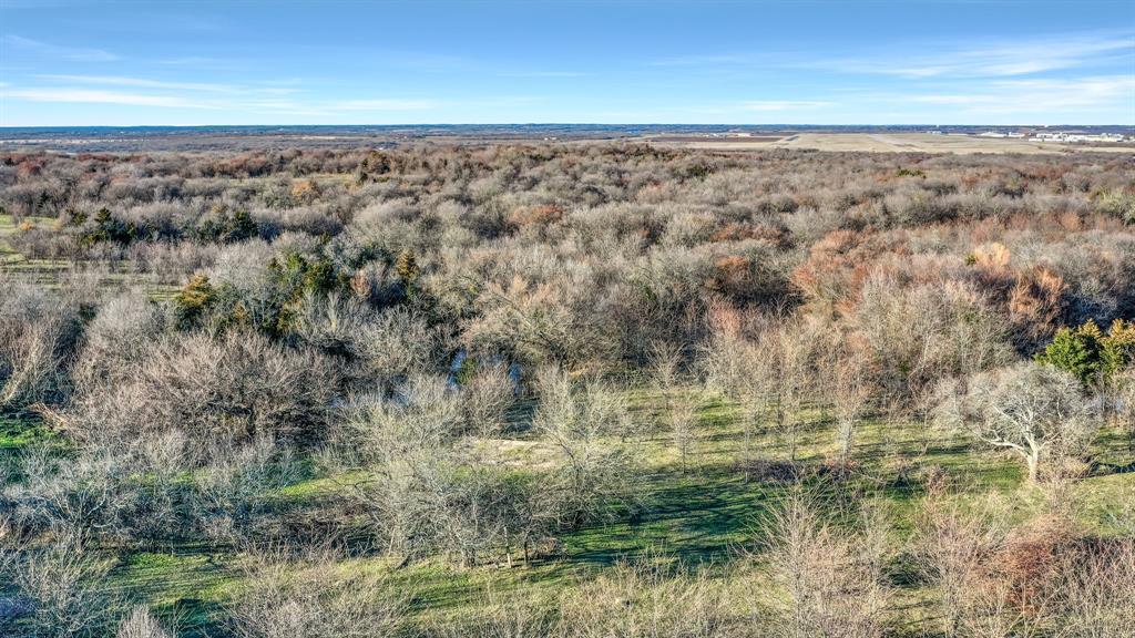 Tbd 87 Acres Reynolds Lane Property Photo 23