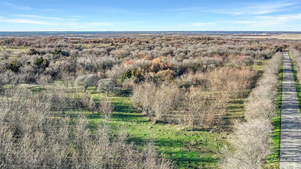 Tbd 87 Acres Reynolds Lane Property Photo 24