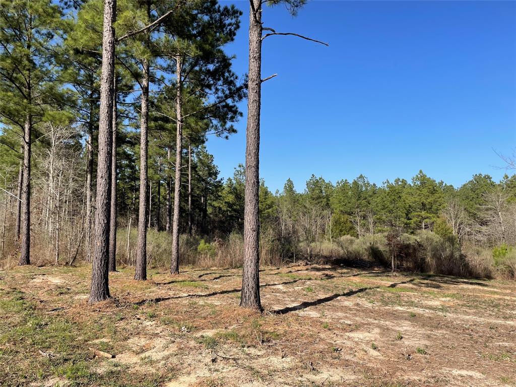 - Louisiana 157 Highway Property Photo 1