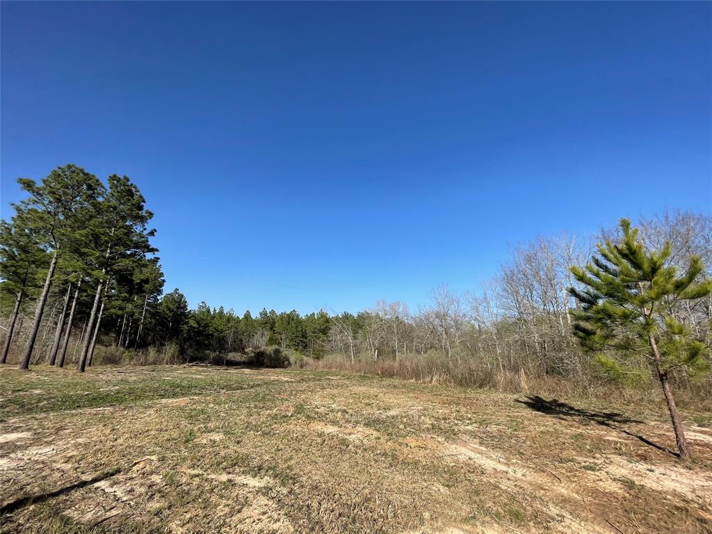 - Louisiana 157 Highway Property Photo 2