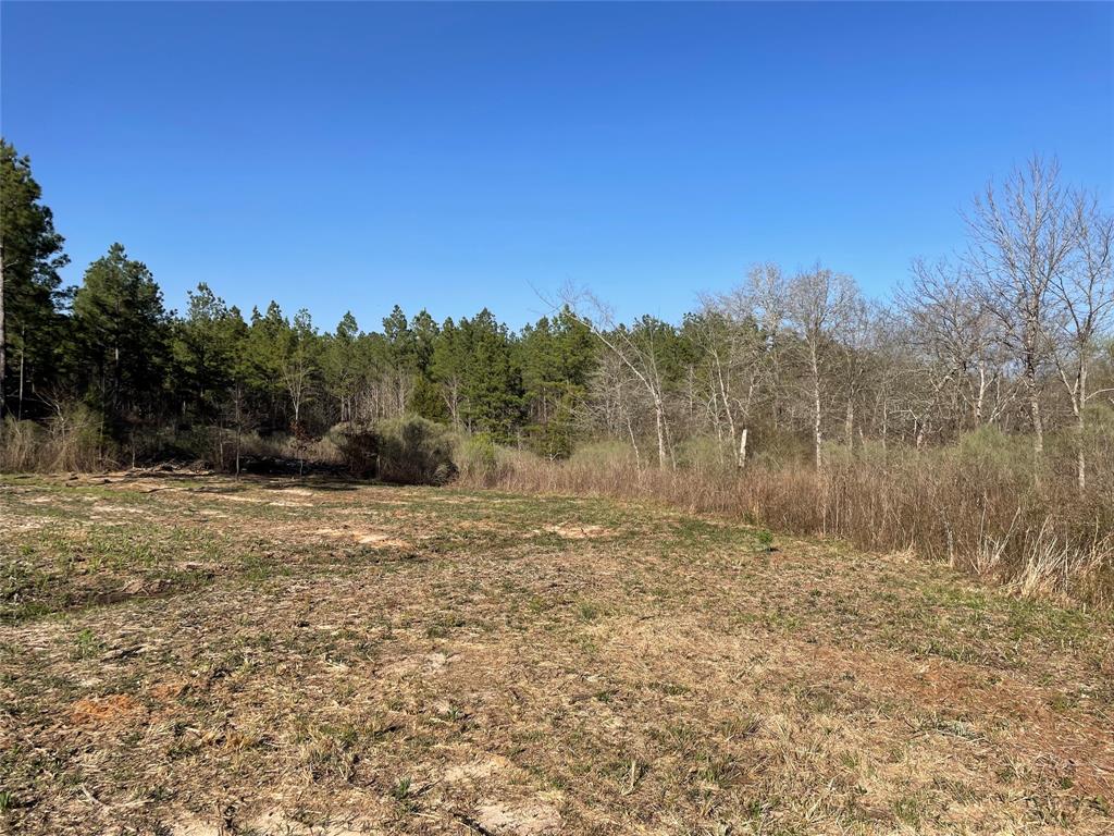 - Louisiana 157 Highway Property Photo 3