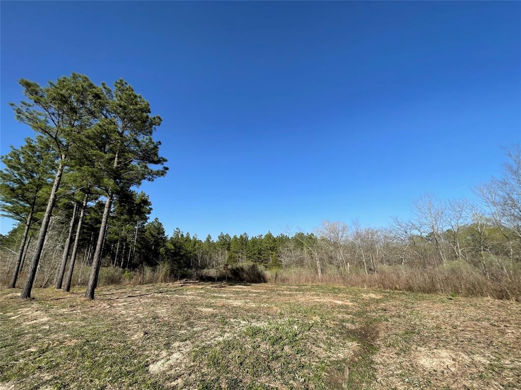 - Louisiana 157 Highway Property Photo 4