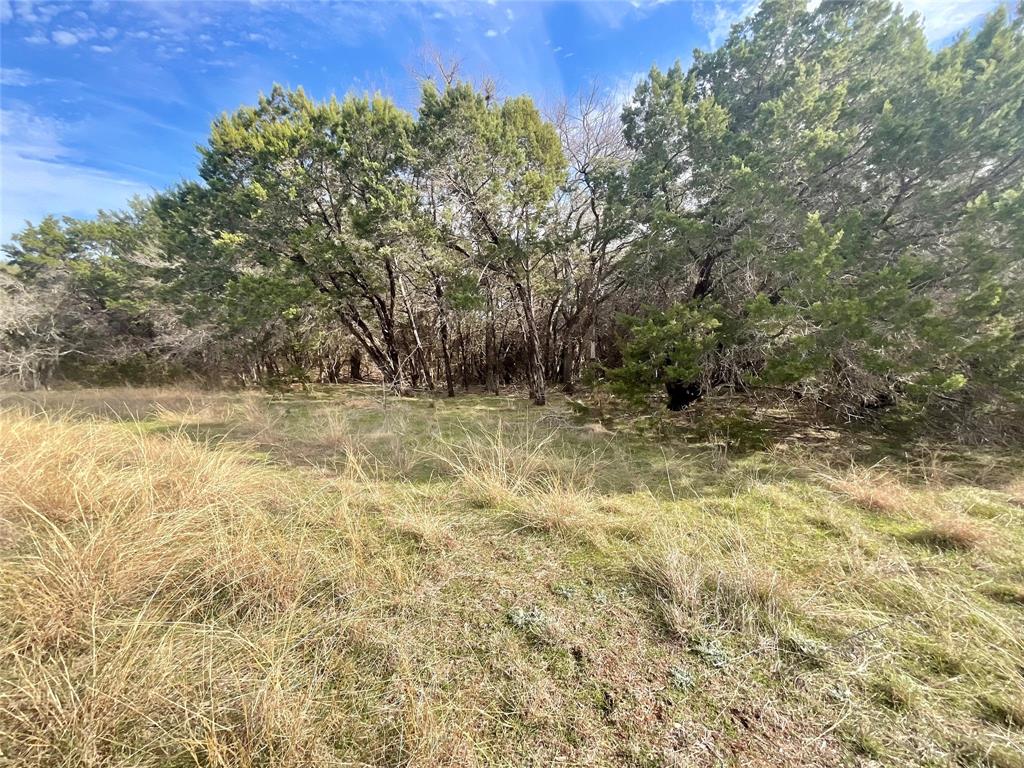 26024 Woodacre Drive Property Photo 3