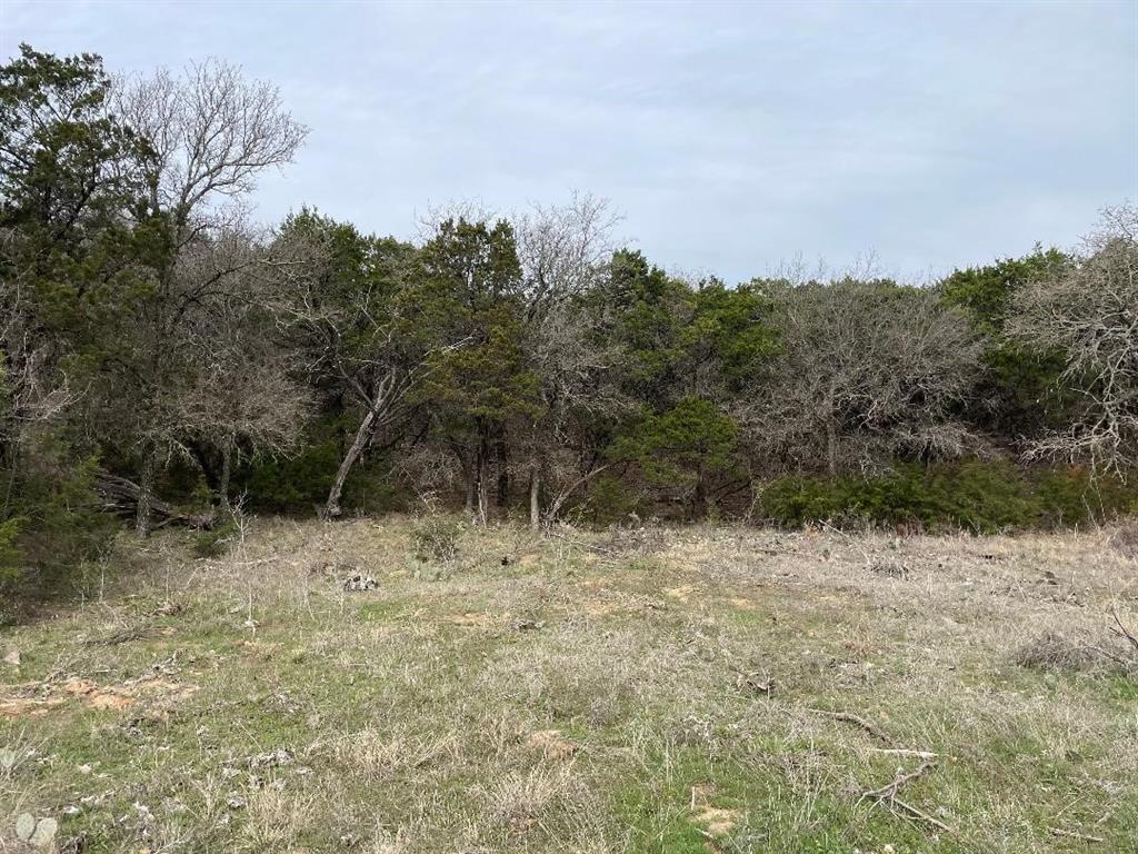 699 Oaks Crossing Road Property Photo 3