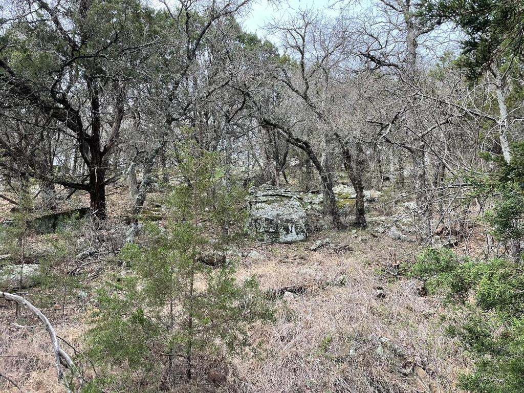 699 Oaks Crossing Road Property Photo 4