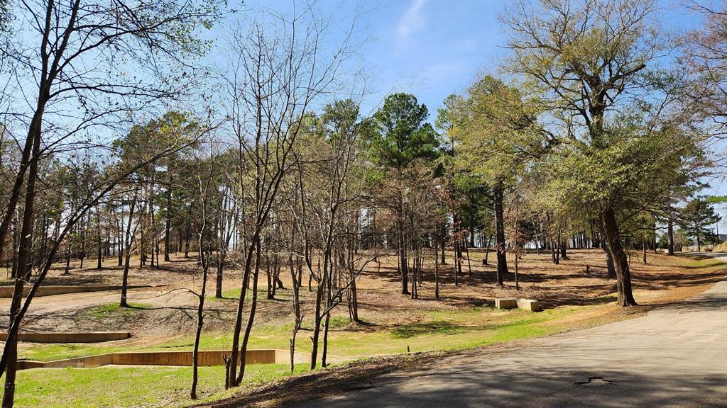 22540 County Road 1174 Property Photo 4