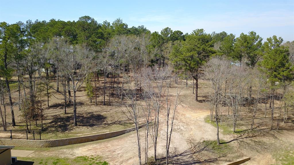 22540 County Road 1174 Property Photo 5