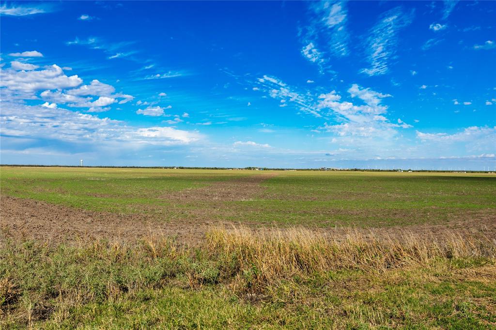 Lot 4 County Road 503 Property Photo 2