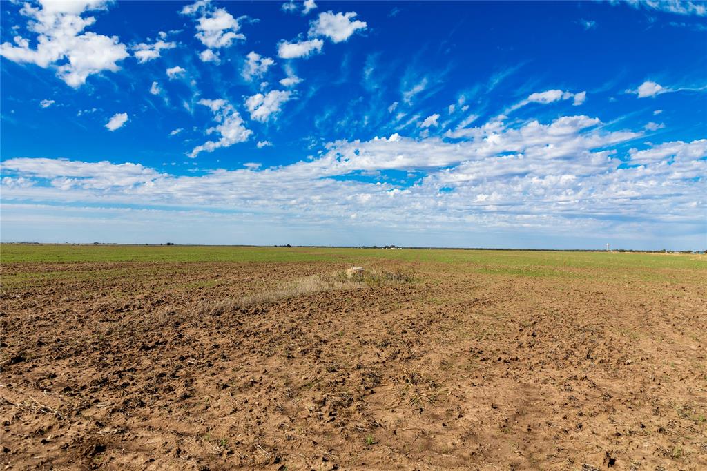 Lot 4 County Road 503 Property Photo 8