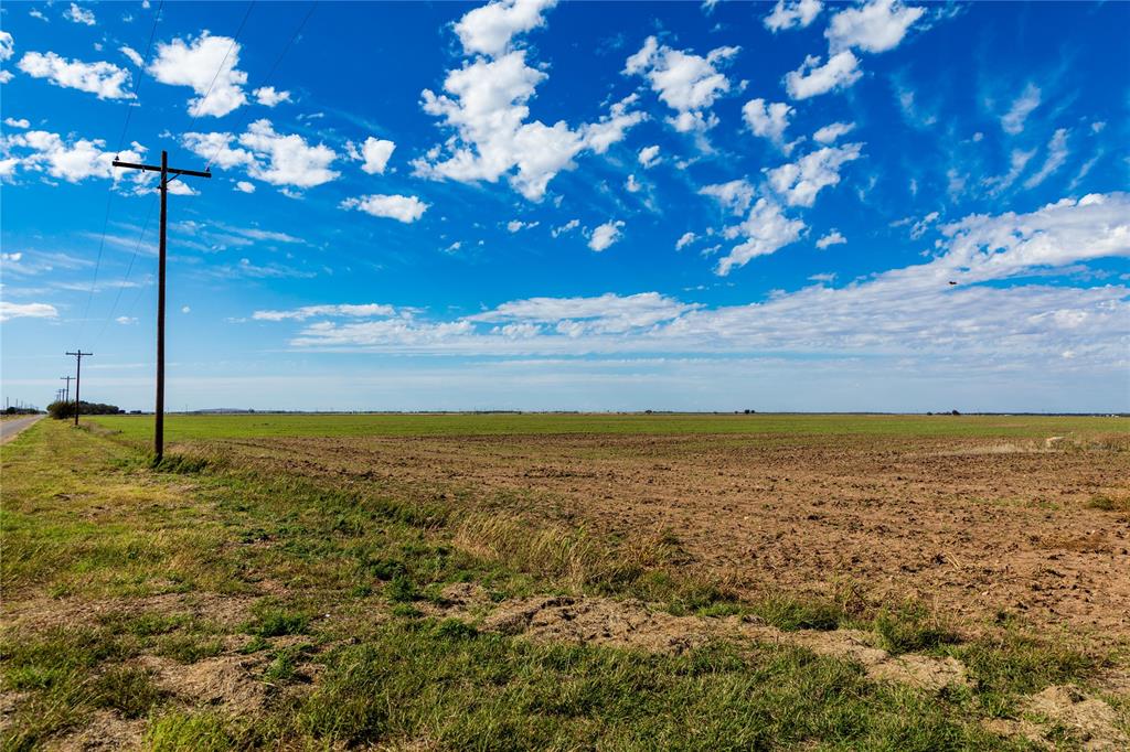 Lot 4 County Road 503 Property Photo 9