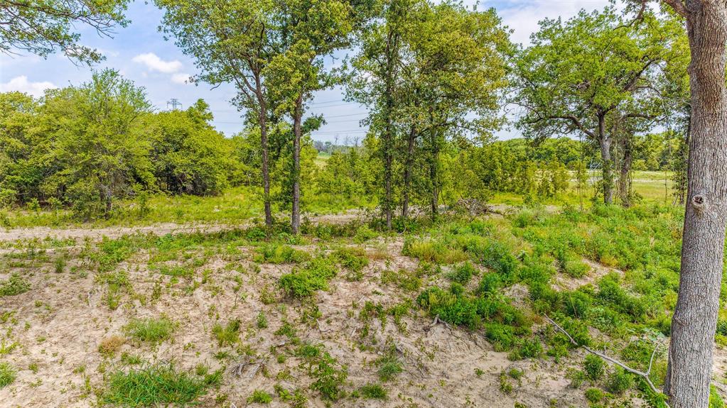 Tbd Lot 8 Bur Oak Drive Property Photo 6