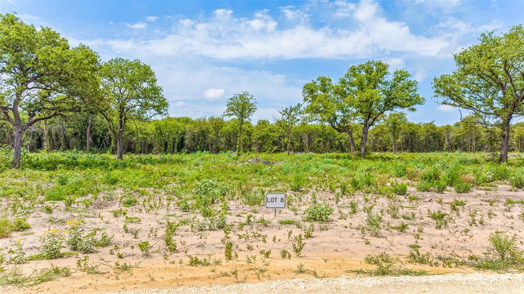 Tbd Lot 8 Bur Oak Drive Property Photo 7