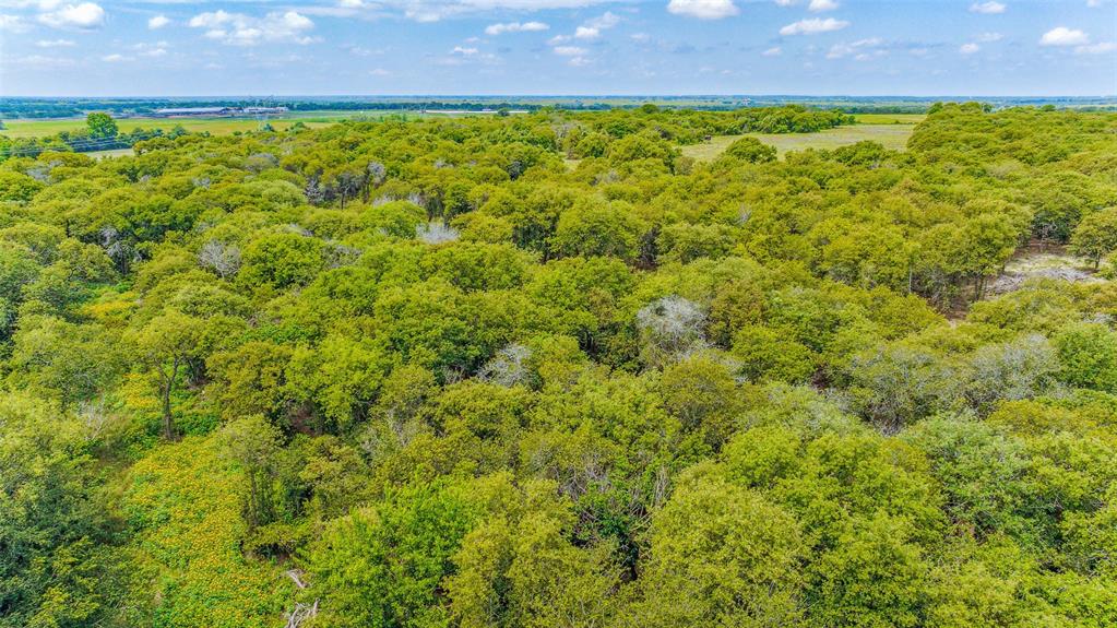 Tbd Lot 8 Bur Oak Drive Property Photo 8
