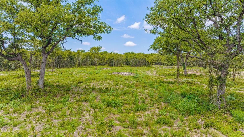 Tbd Lot 8 Bur Oak Drive Property Photo 9