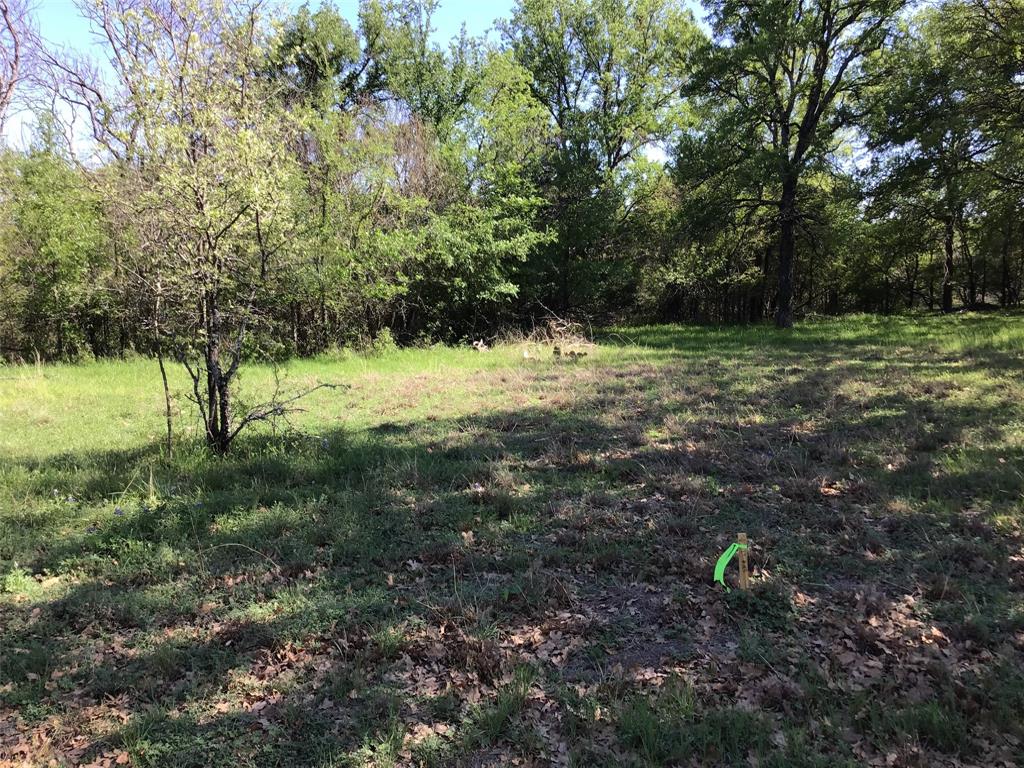 1143 Overlook Drive Property Photo 4