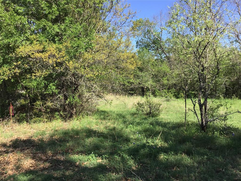 1143 Overlook Drive Property Photo 5