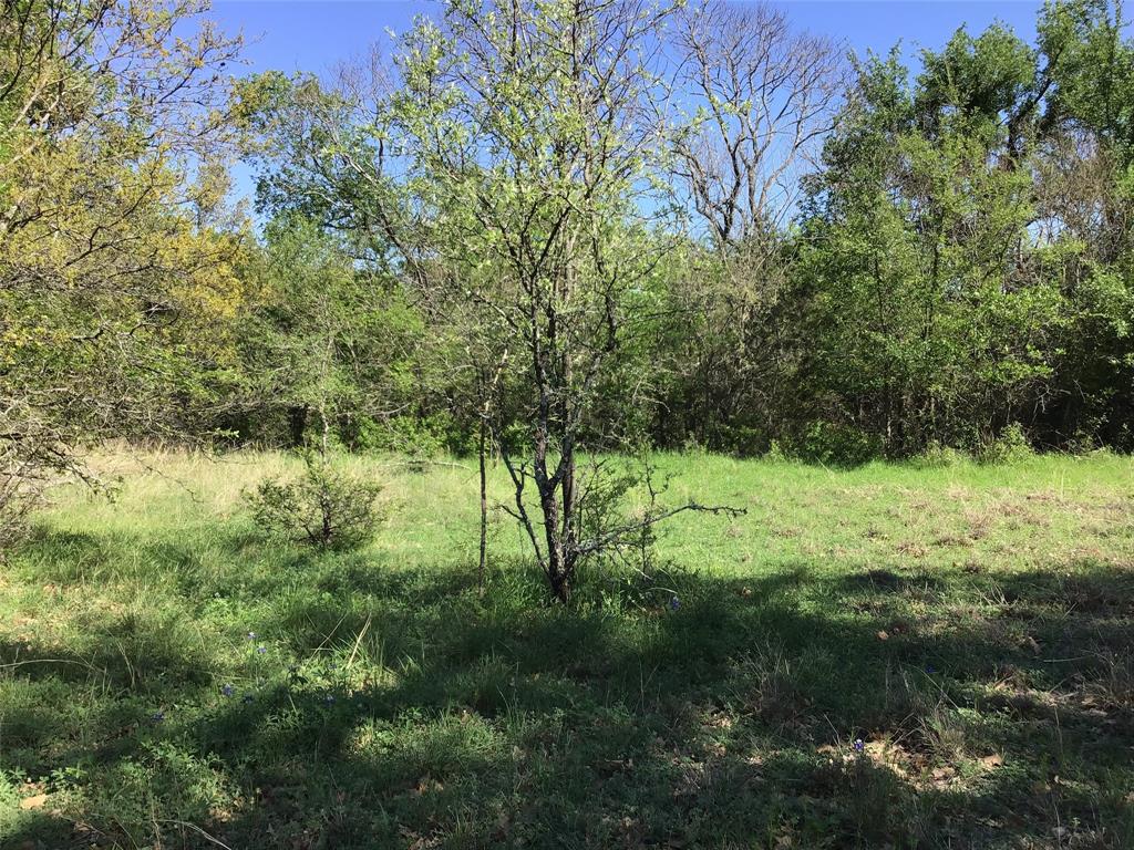 1143 Overlook Drive Property Photo 6