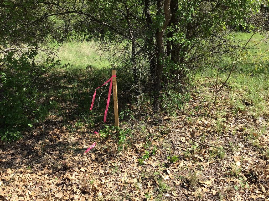 1143 Overlook Drive Property Photo 7