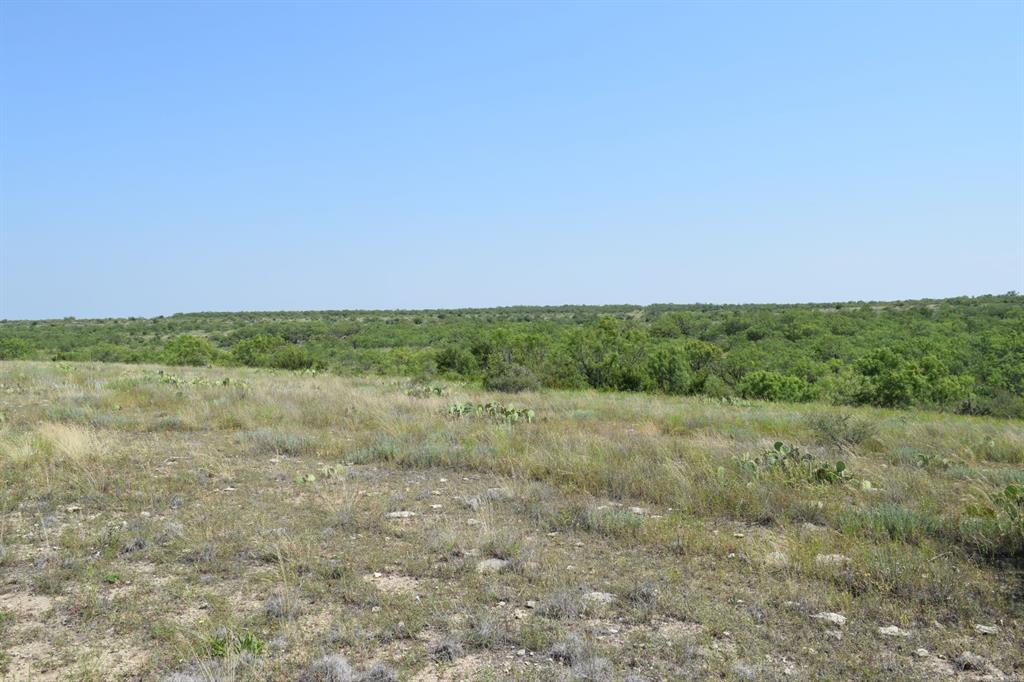 Tbd Highway 67 Property Photo 18