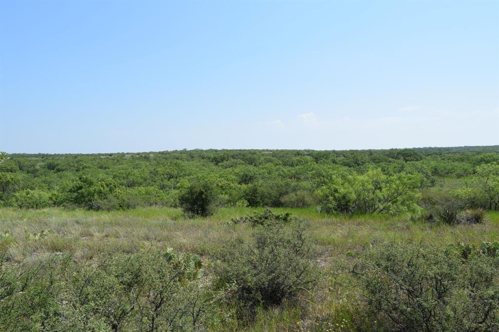 Tbd Highway 67 Property Photo 19