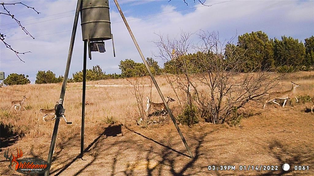 Tbd Highway 67 Property Photo 25