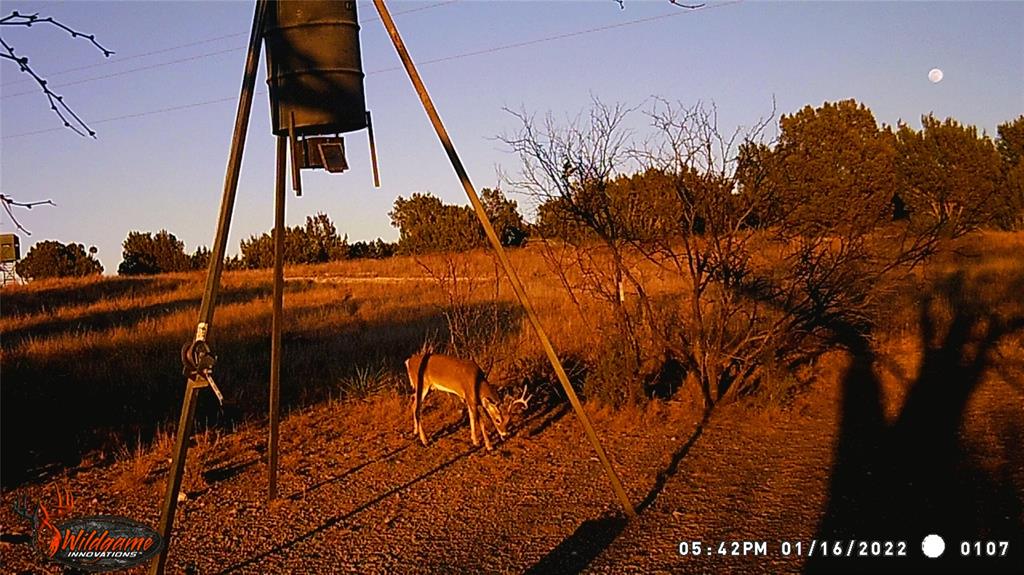 Tbd Highway 67 Property Photo 27
