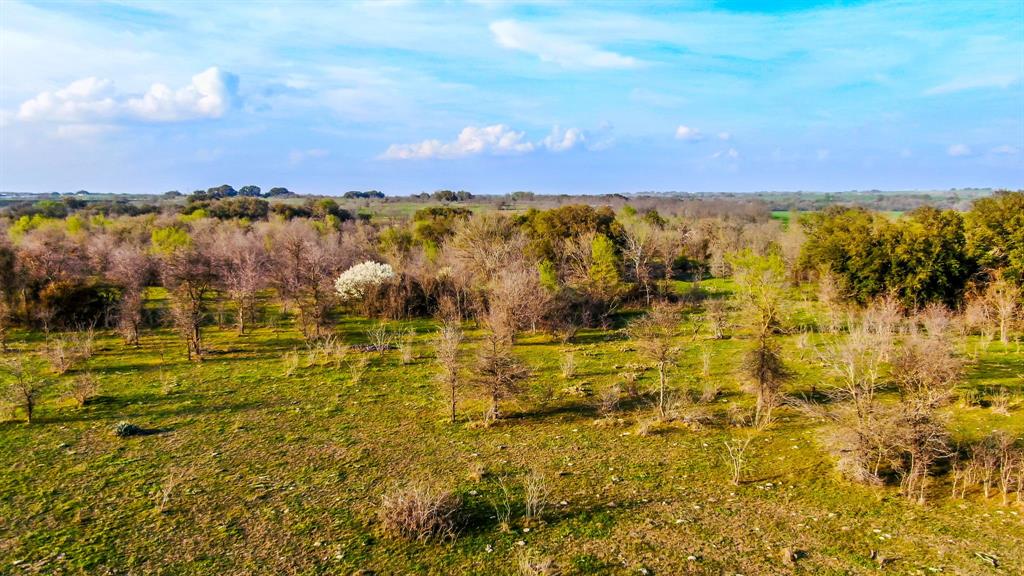 Tbd Farm Road 1702 Property Photo 9
