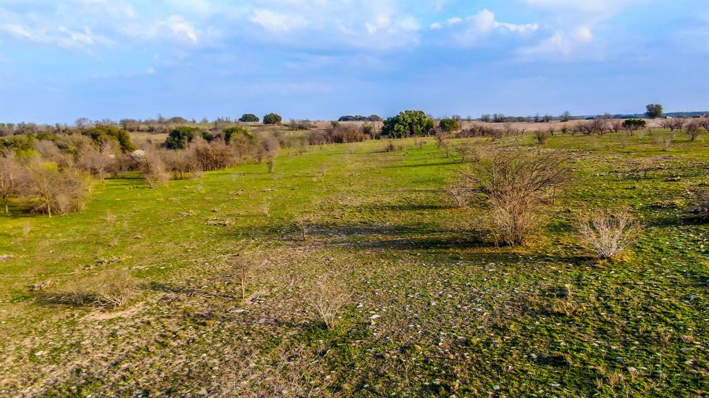 Tbd Farm Road 1702 Property Photo 13