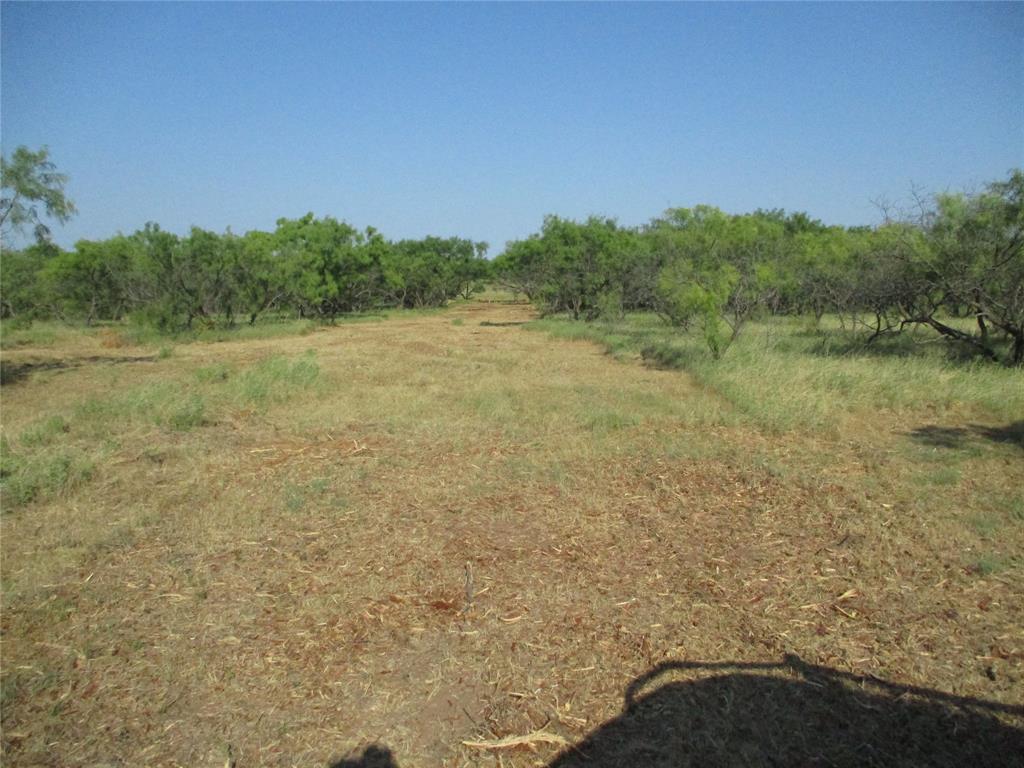 Tr 2 Big Sandy Property Photo 1