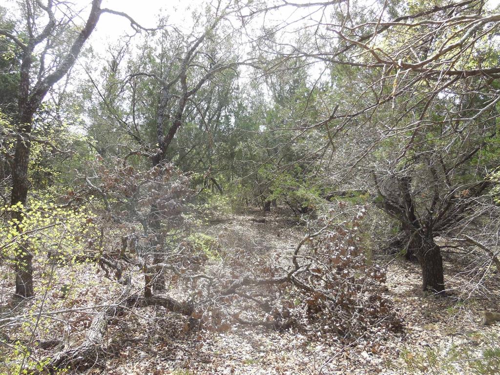 Lot 3-4 Southview Lane Property Photo 5