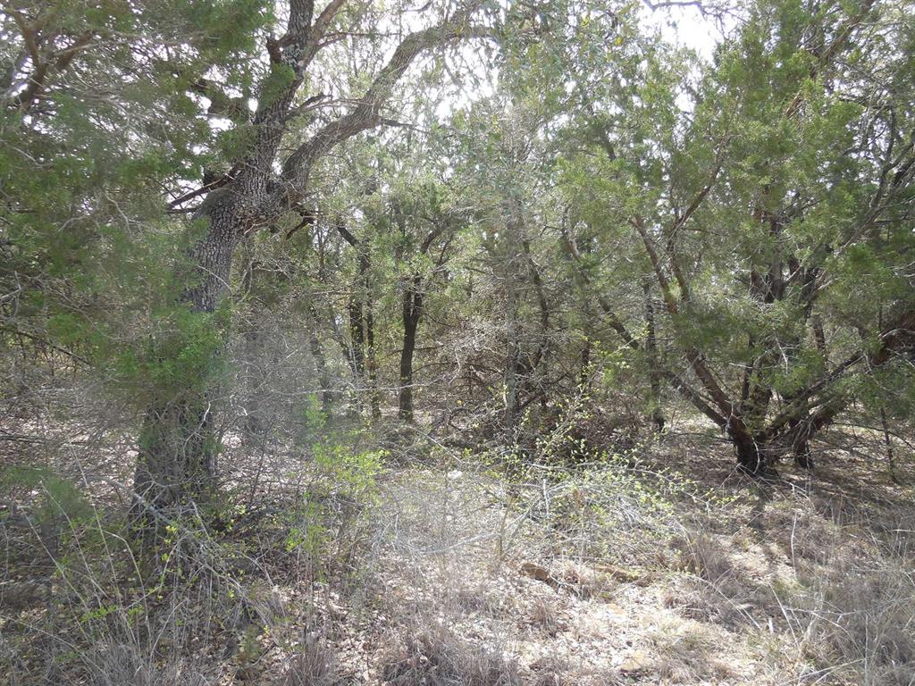 Lot 3-4 Southview Lane Property Photo 8