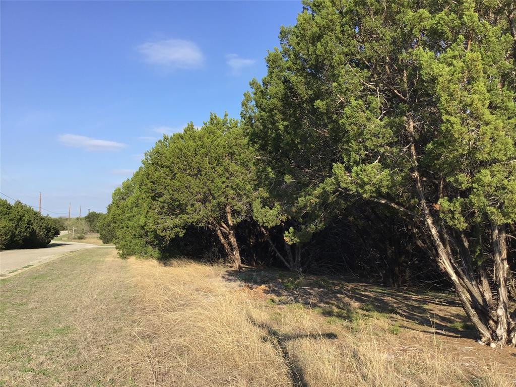 29084 Cedar Hill Dr & Timberwood Drive Property Photo 1