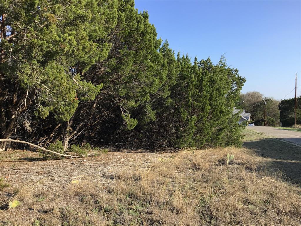 29084 Cedar Hill Dr & Timberwood Drive Property Photo 2