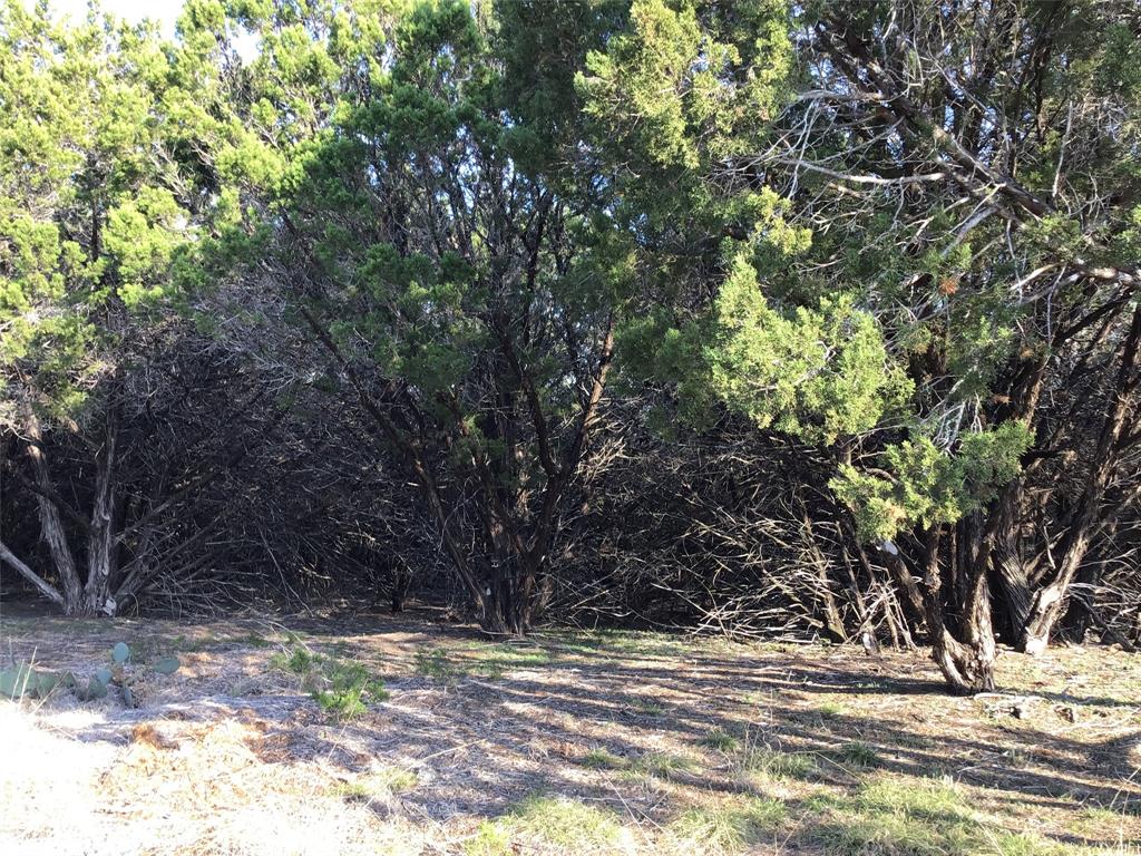 29084 Cedar Hill Dr & Timberwood Drive Property Photo 4