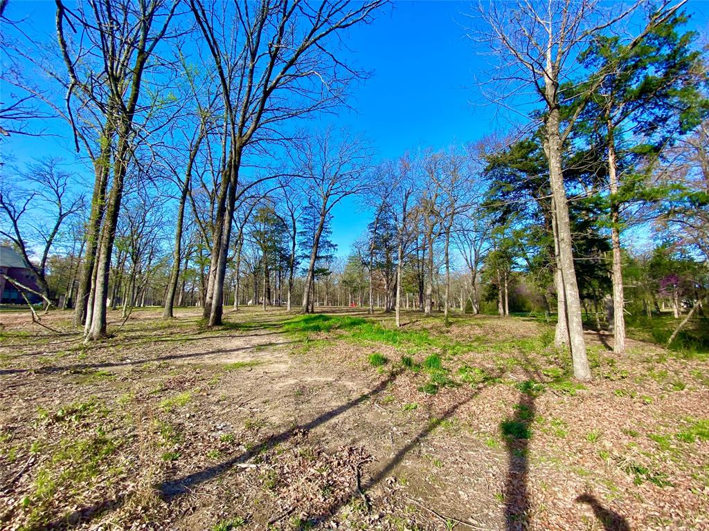 Tbd County Road 1452 Property Photo 5
