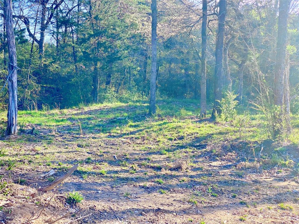 Tbd County Road 1452 Property Photo 6