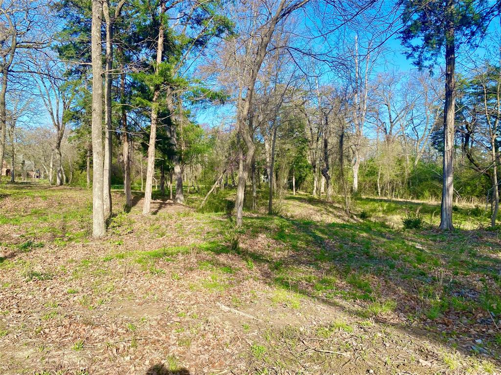 Tbd County Road 1452 Property Photo 7