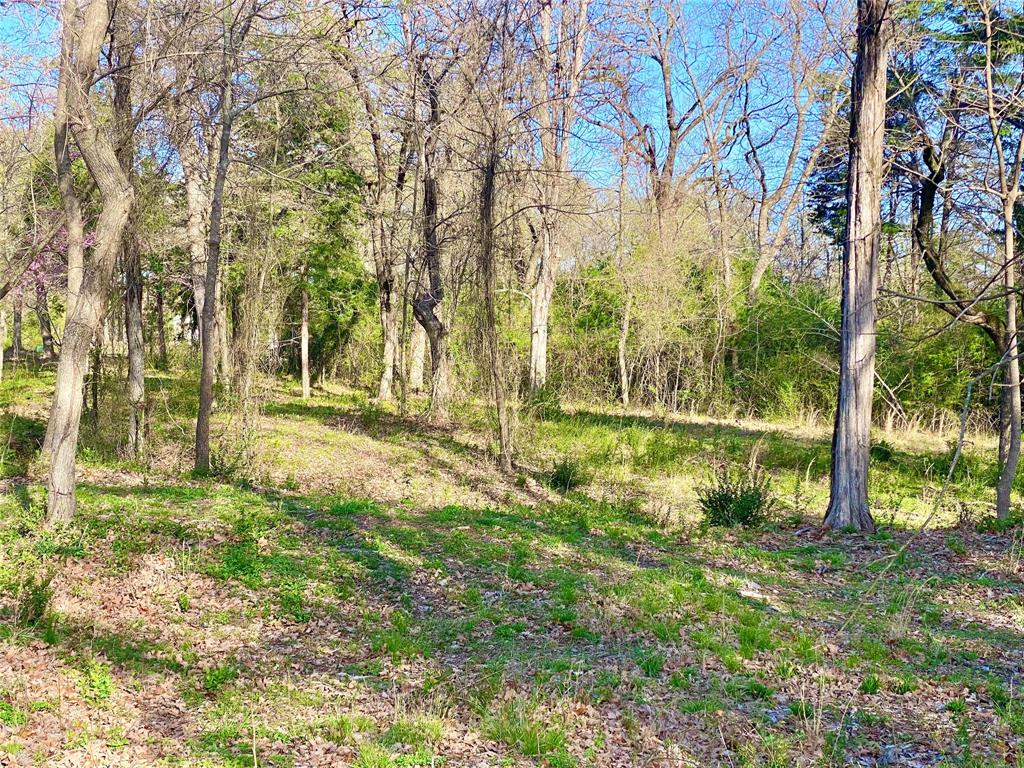 Tbd County Road 1452 Property Photo 8