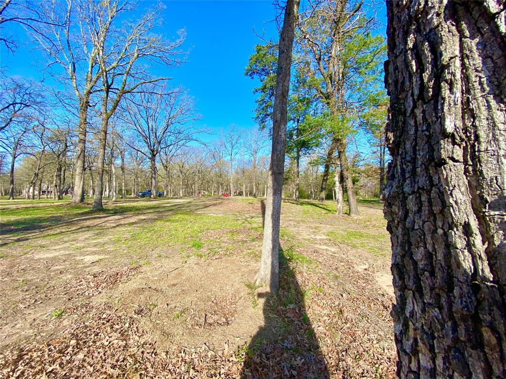 Tbd County Road 1452 Property Photo 10