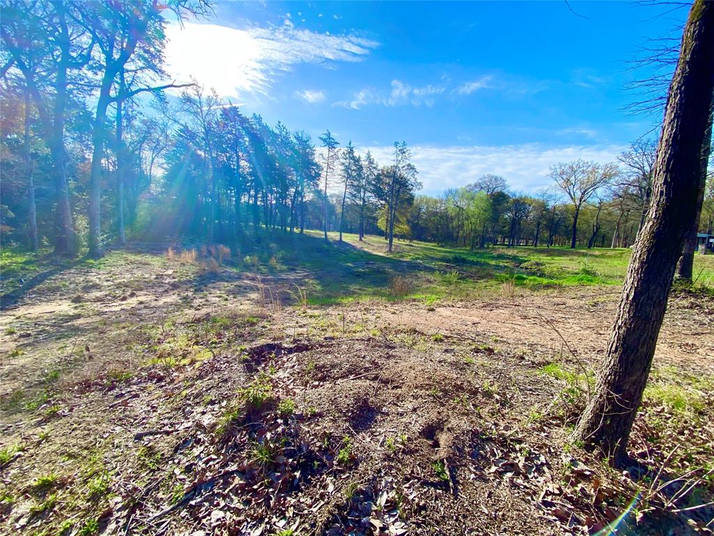 Tbd County Road 1452 Property Photo 11